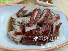 -瑞霖·隆江猪脚饭