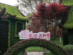 -东平国家森林公园