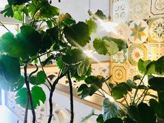 -时光花园(白鹭洲店)