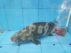 -厨房好味(国贸店)