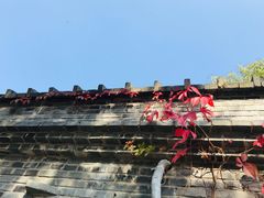 -T80科技文化国际社区-停车场