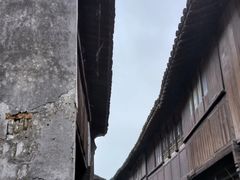 -乌镇东栅景区