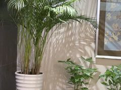 -黑松白鹿(金融街店)