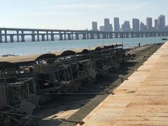 -海堤纪念公园