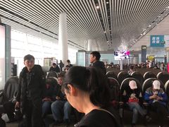 -厦门高崎国际机场-T3航站楼