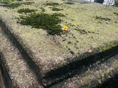 -道教老君洞
