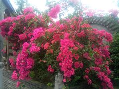 -楠柏弯休闲山庄(梨花溪店)