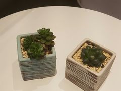 -人在茶在(华南店)