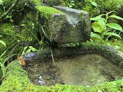 -常寂光寺