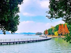 -水上明月·湖景餐厅
