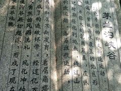 -茅兰沟国家森林公园