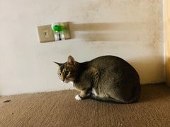 -老佛爷铜炉蛙锅(海岸城店)