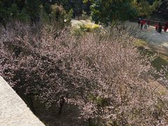 -草庵摩尼教遗址公园