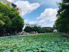 -广西大学(大学东路校区)