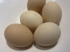 -燕郊烧鸽子(酷车小镇店)