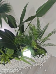 -HEYAN荷妍专业脱毛连锁机构