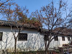 -何园