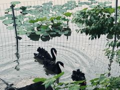 -上海怡沁园度假酒店