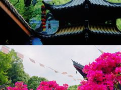 -杭州上天竺法喜讲寺