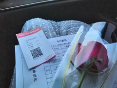 -枫花园汽车电影院(朝阳公园店)