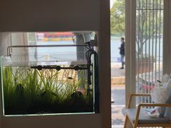 -茶庐(百花洲路店)