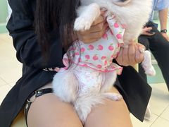 -怪兽屋·羊驼·猫咖·狗咖(俊华广场店)