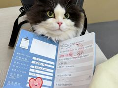 -申普宠物医院·心脏介入·心血管微创(总院)