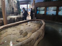 -郑庄脂渣海鲜楼(九水路店)