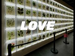 -广东中医药博物馆