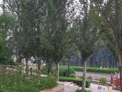 -元大都城垣遗址公园