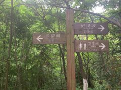 -云碧峰国家森林公园