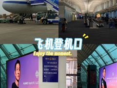 -广州白云国际机场-T1航站楼