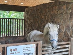 -珠海海泉湾神秘岛亲子乐园