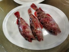 -丰收渔港饭店(嵊泗店)