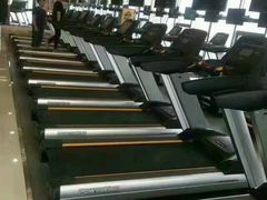 -金吉鸟健身游泳
