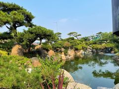 -罗红摄影艺术馆