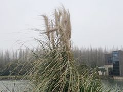-上海怡沁园度假酒店