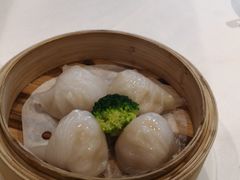 -粤式早茶希朋喜宴