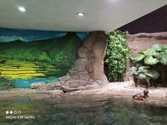 -上海海洋水族馆