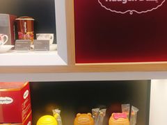 -哈根达斯(朝阳大悦城店)