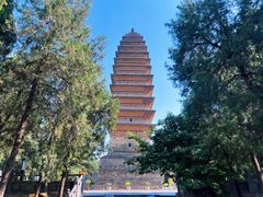 -洛阳白马寺