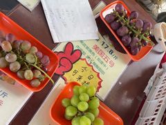 -马陆小张葡萄园农家乐