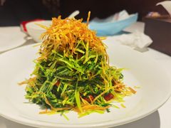 巧拌豆苗-四季民福烤鸭店(故宫店)