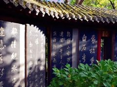 -嵖岈山风景区