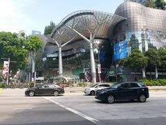 -爱雍·乌节