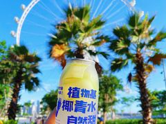 -蔻蔻椰·鲜萃椰子水(欢乐港湾店)