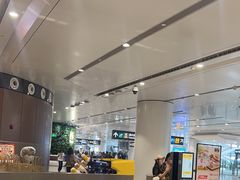 -麦当劳(北京大兴机场二层国内到达(安检外)店)