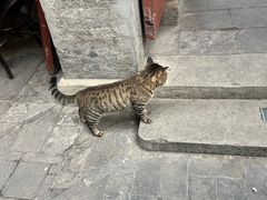-正阳书局(西四南大街店)