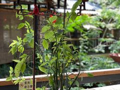 -五邑人家(江门店)