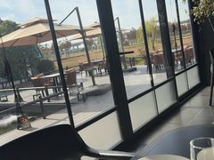-陶陶居酒家(新天地店)